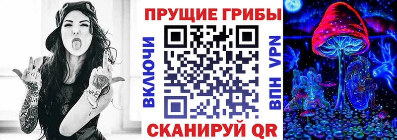 закладка  Ува  Галлюциногенные грибы Psilocybine cubensis 